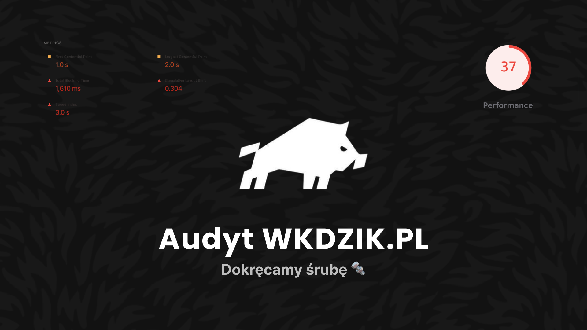 Zdjęcie przedstawia Okładkę mojego projektu Audyt wkdzik.pl